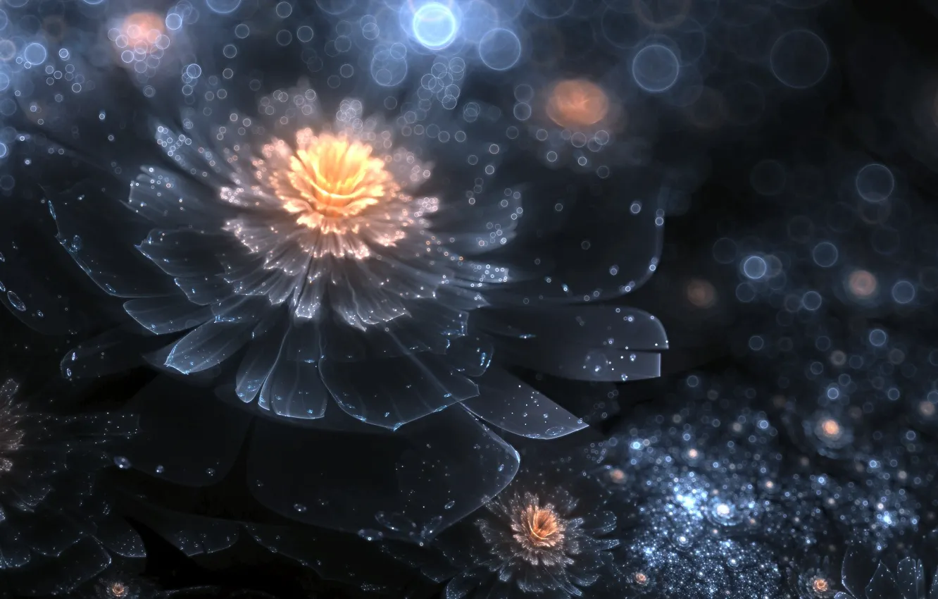Photo wallpaper flowers, night, flower, art, night divine
