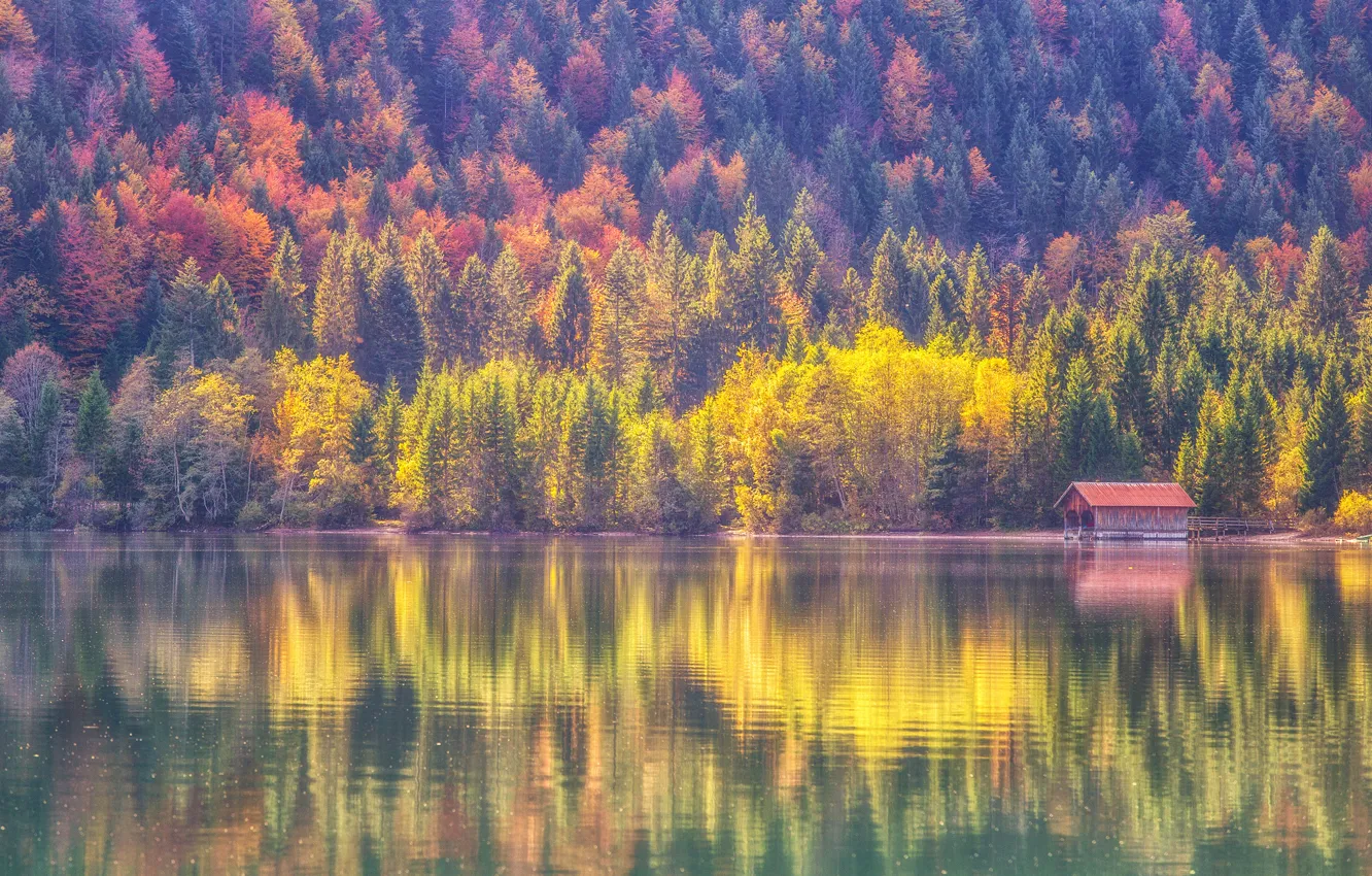 Photo wallpaper autumn, forest, lake, reflection
