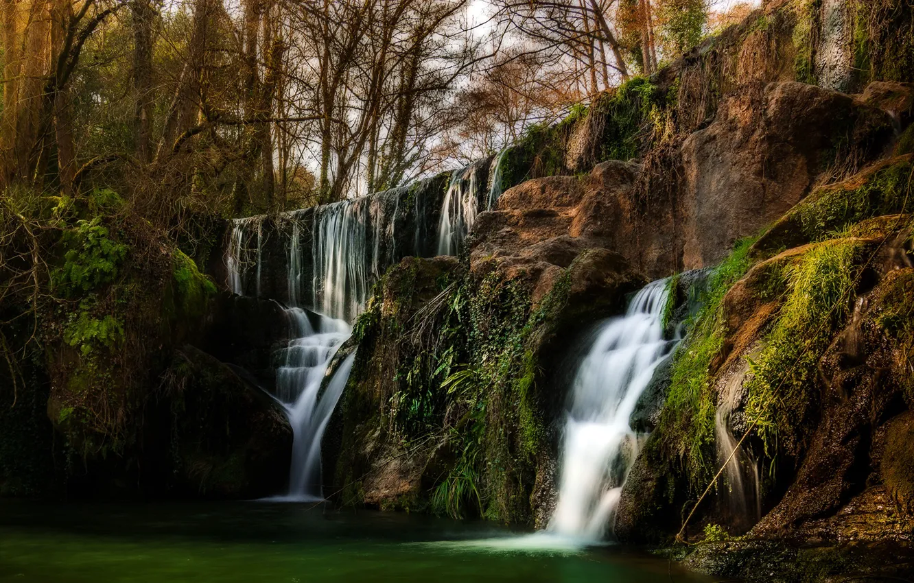 Photo wallpaper forest, trees, rocks, waterfall, CA, USA, San Martin