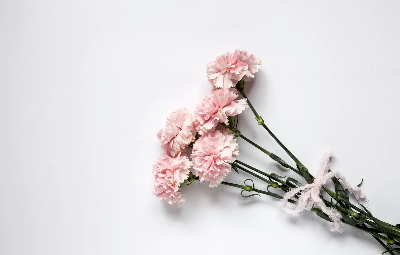 Photo wallpaper flowers, pink, wood, pink, flowers, clove