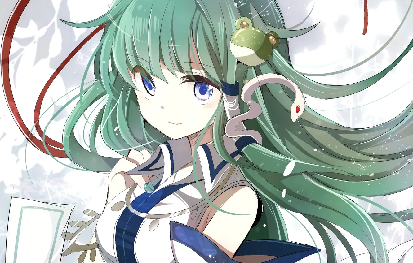 Photo wallpaper girl, frog, snake, art, touhou, kochi have done the art, fumiko, miruyuana