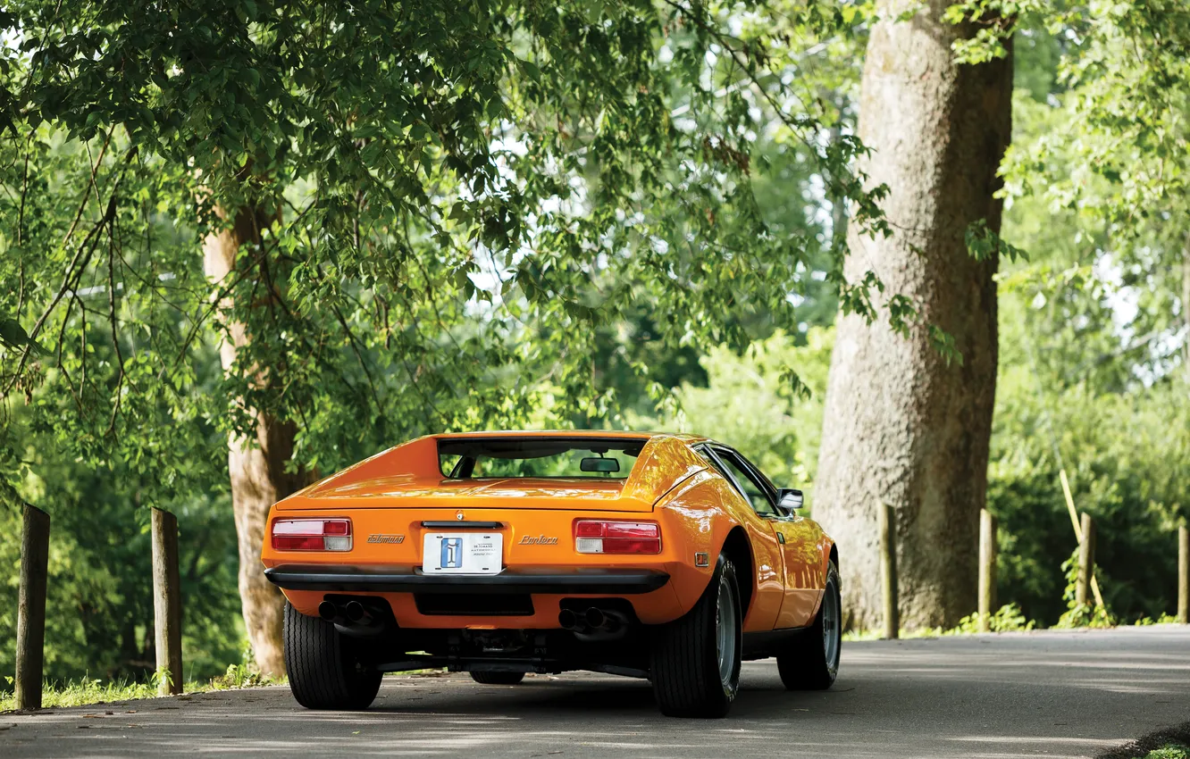 Photo wallpaper 1974, De Tomaso, Pantera, De Tomaso Pantera L