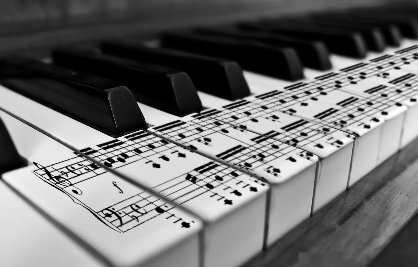 Photo wallpaper notes, keys, black and white, piano, karl683