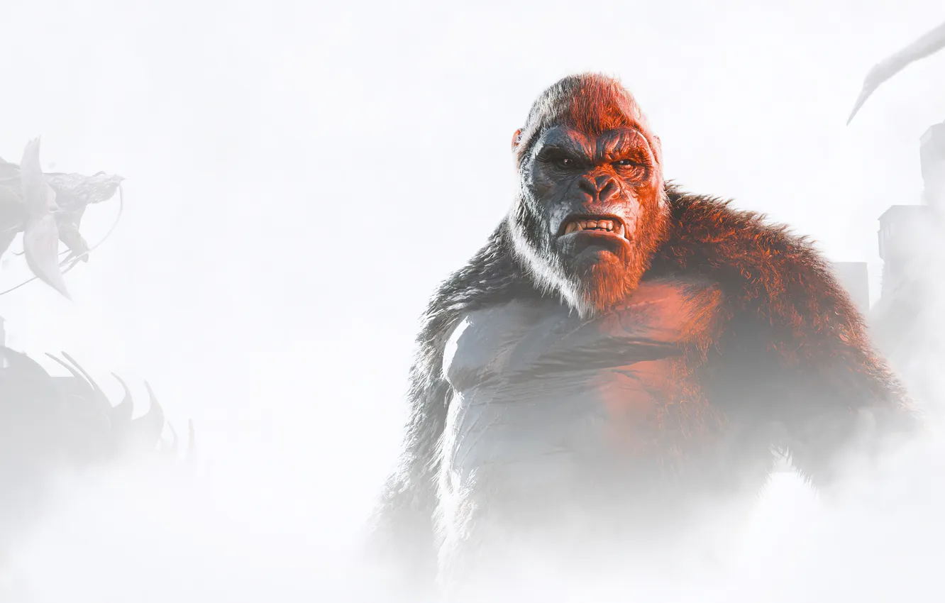 Photo wallpaper King Kong, games, 2024 Games, Kong: Survivor Instinct