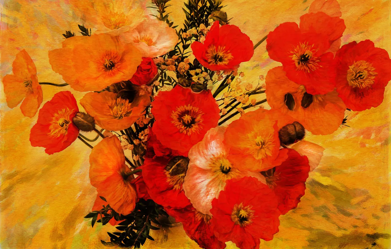 Photo wallpaper red, Maki, treatment, bouquet, painting, photoart
