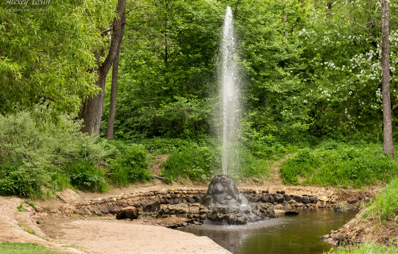 Photo wallpaper forest, fountain, source, spring, Sudogda