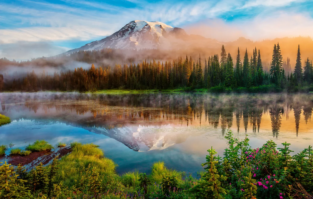 Photo wallpaper forest, summer, reflection, fog, lake, mountain, morning, USA