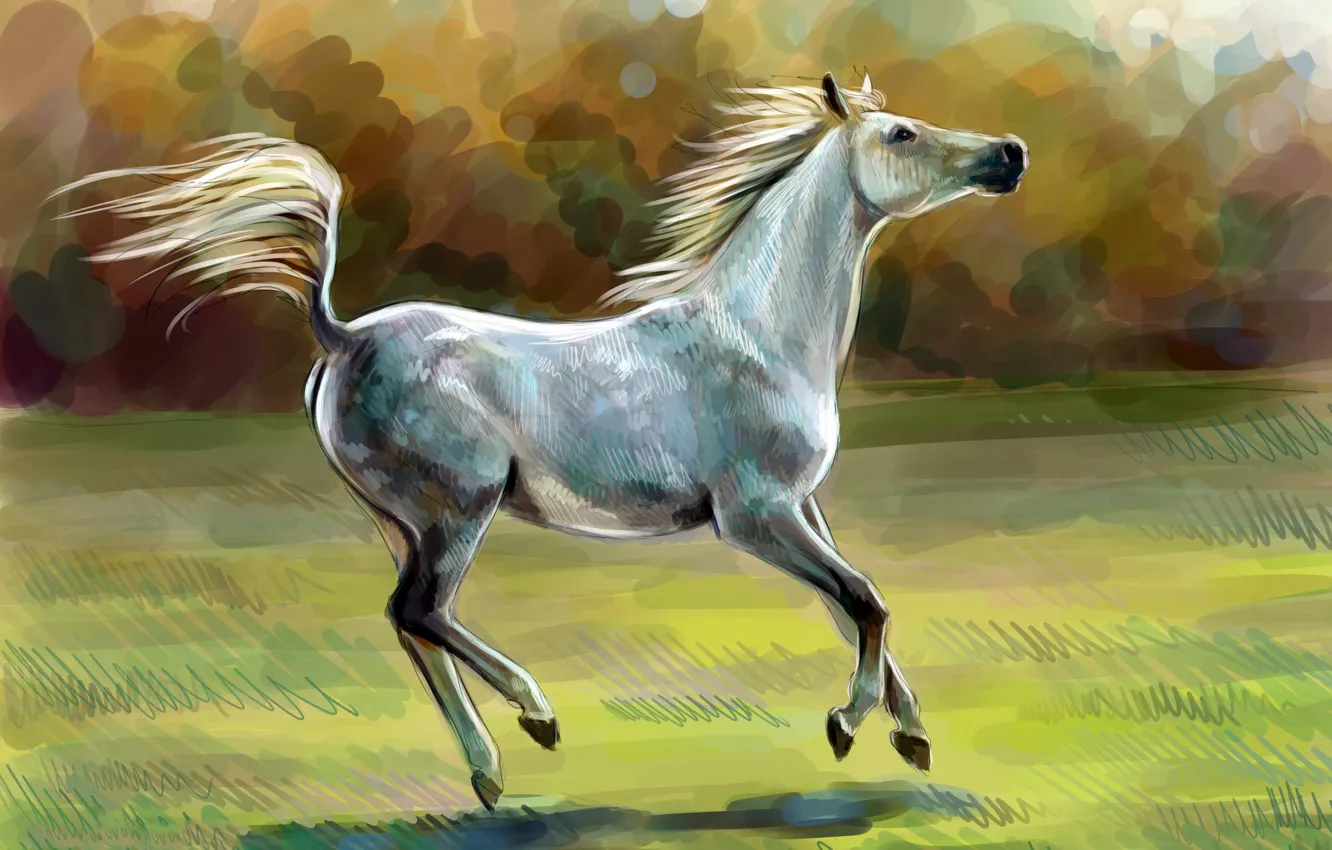 Photo wallpaper horse, horse, oil, art, watercolor, pencil, painting, horse