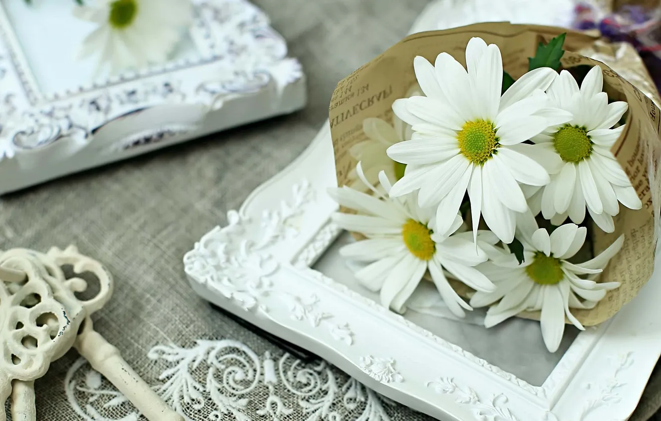 Photo wallpaper flowers, chamomile, bouquet, petals, still life