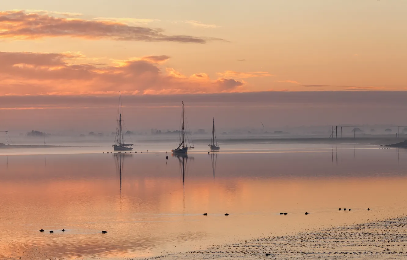 Photo wallpaper sea, water, sunset, yachts, beautiful