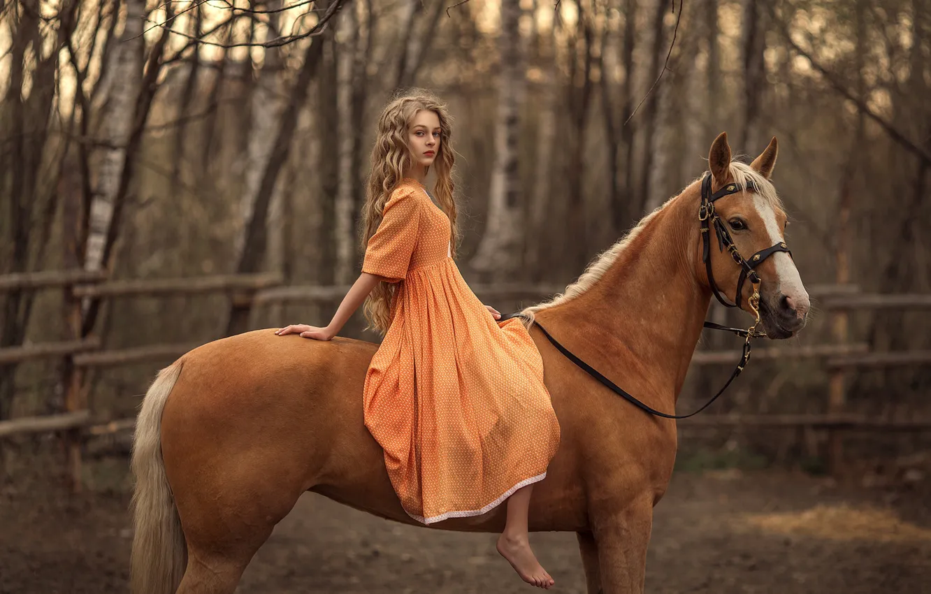 Photo wallpaper horse, horse, girl, sitting, long-haired, Rus
