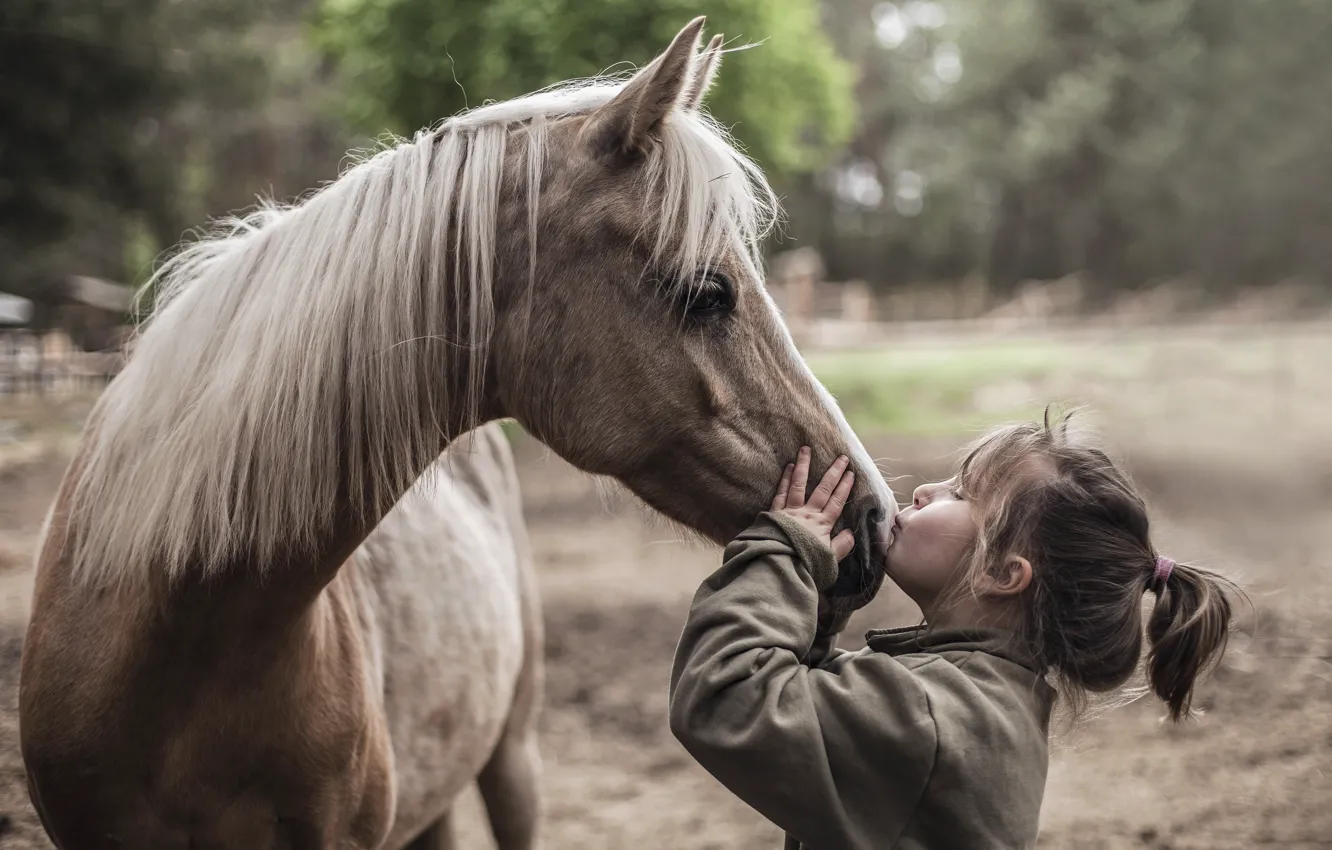 Photo wallpaper mood, horse, girl