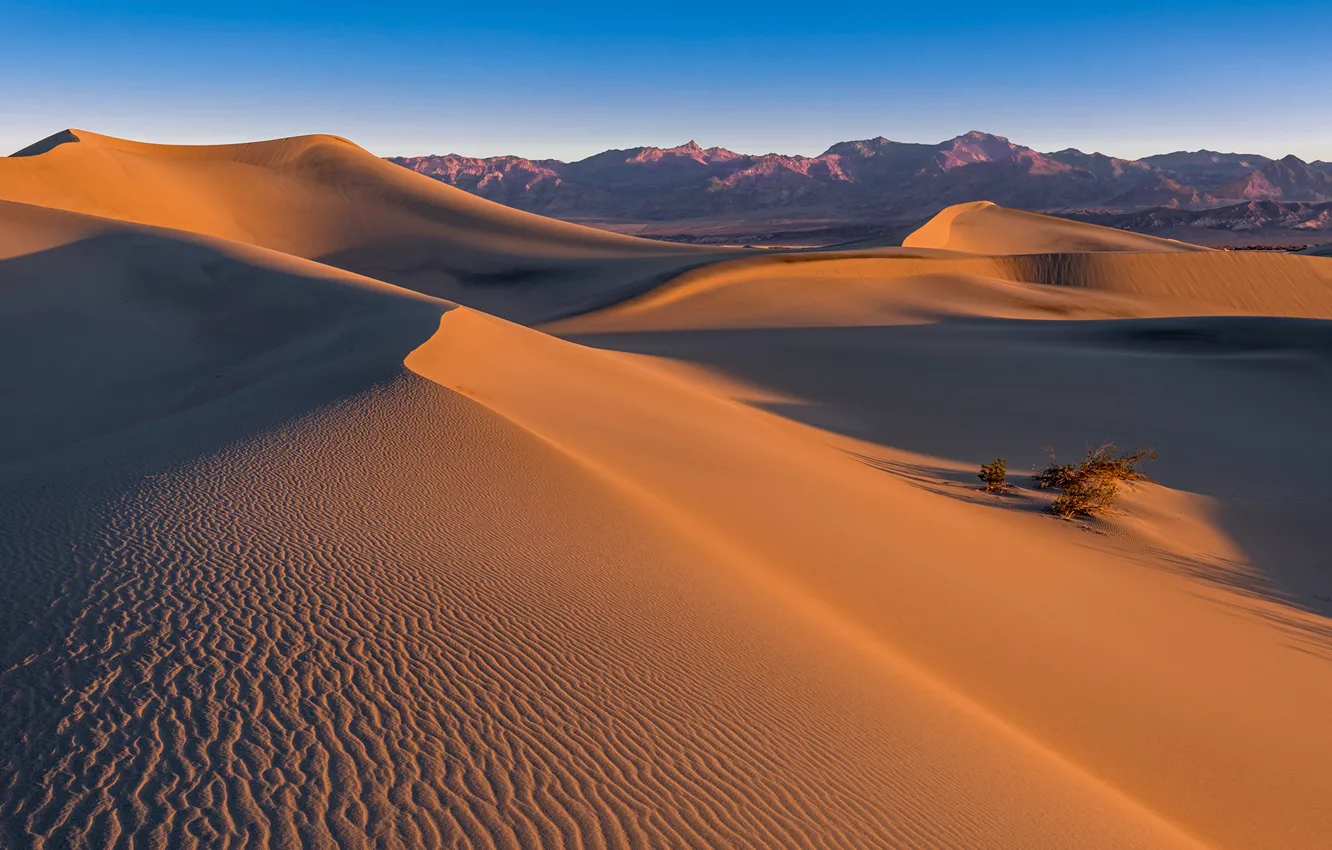 Photo wallpaper desert, sand, death valley, mesquite dunes