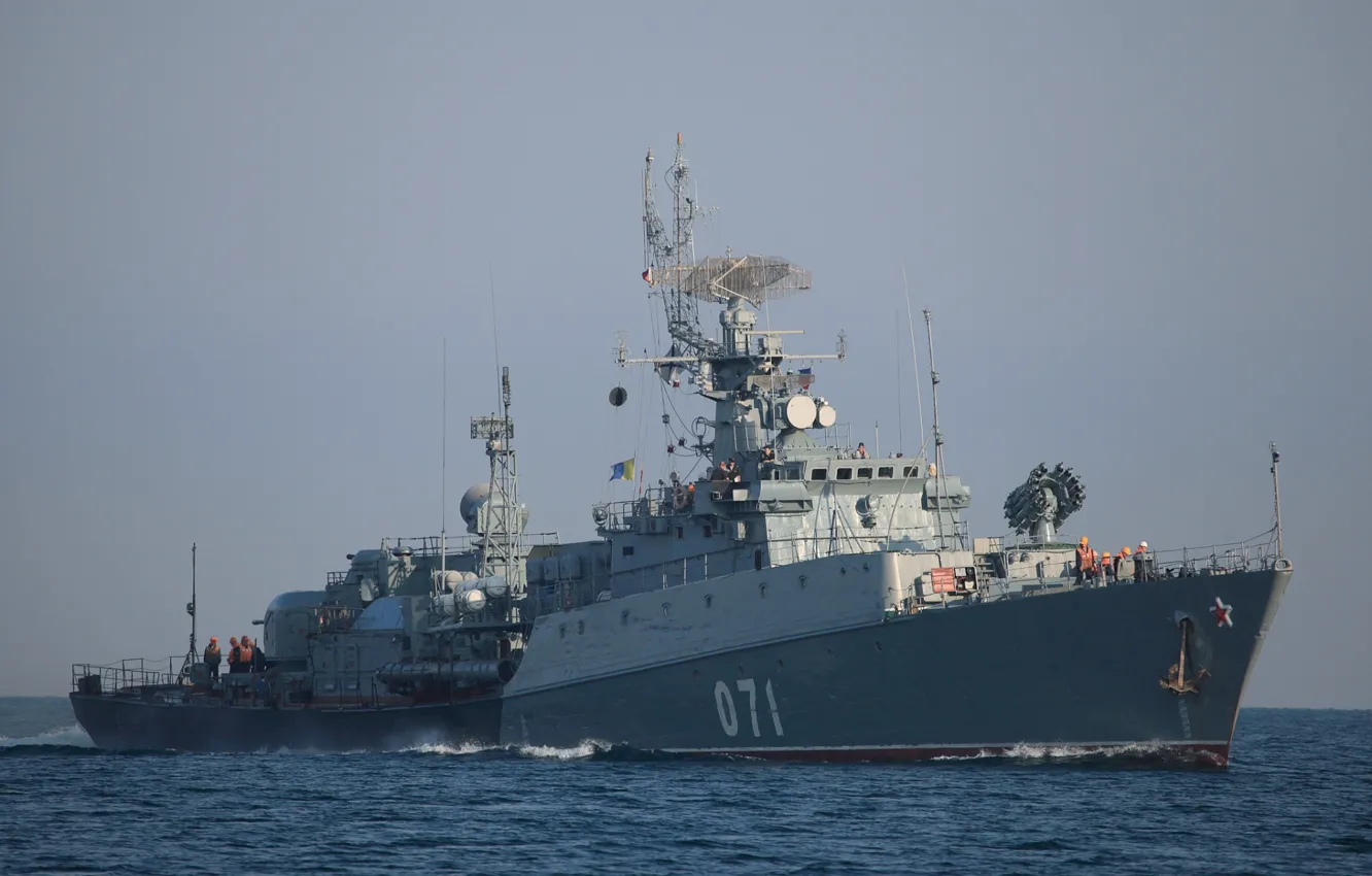 Photo wallpaper The black sea, albatrosses, MPK, Suzdalets, project 1124m