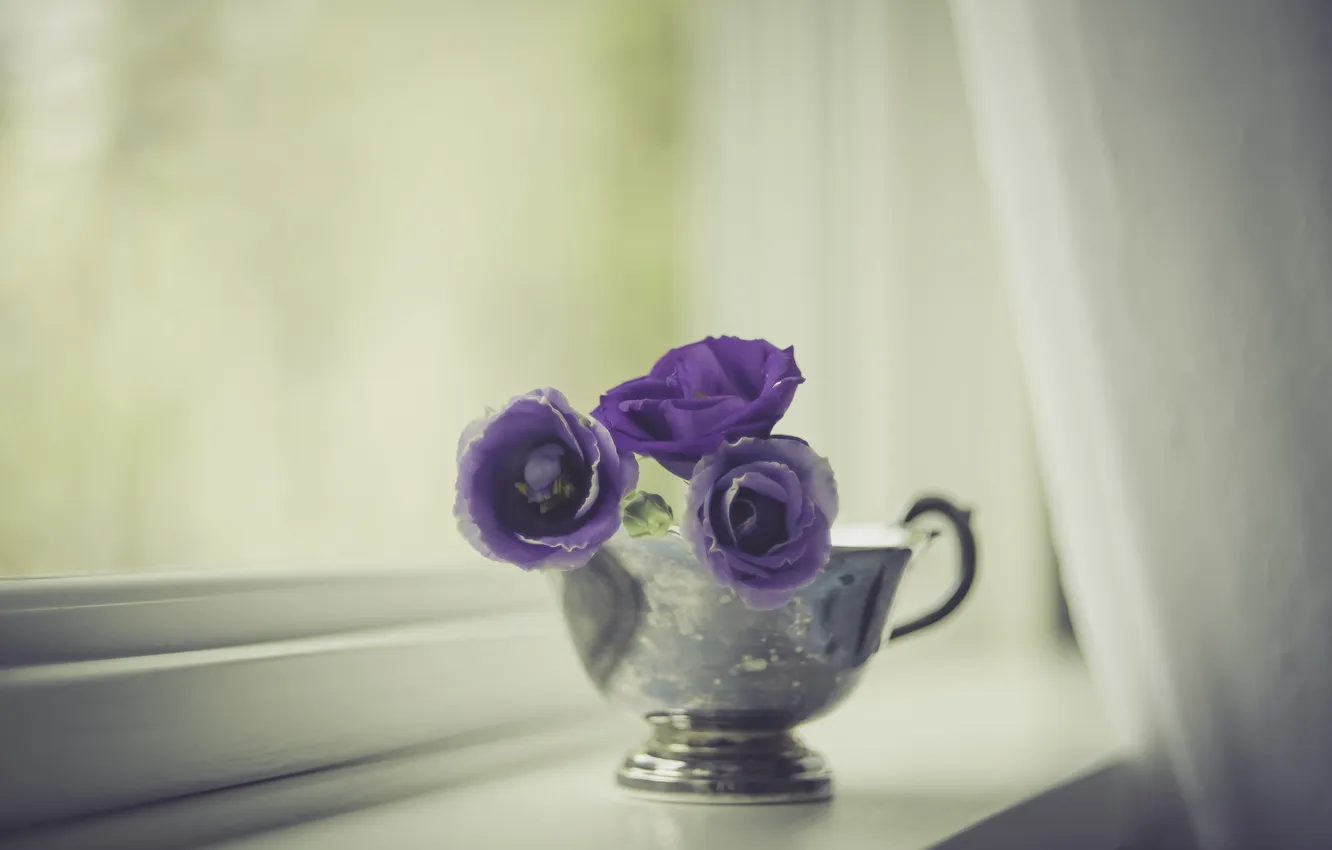 Photo wallpaper flowers, blur, window, Cup, sill, curtains, trio, light background