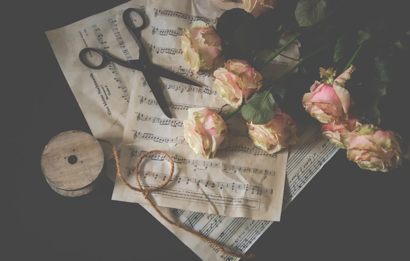 Photo wallpaper flowers, roses, buds, bats