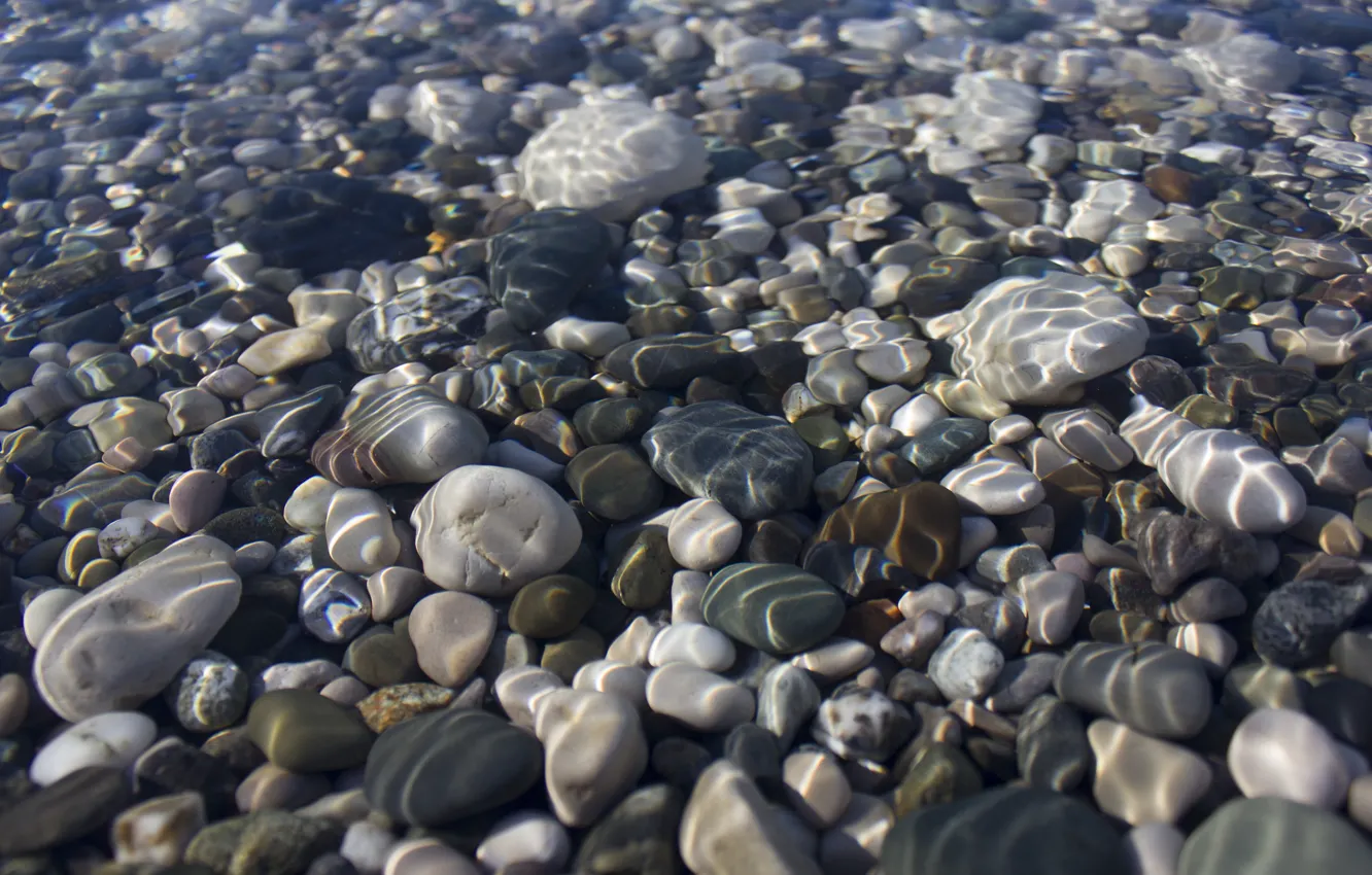 Photo wallpaper water, transparency, pebbles, stones