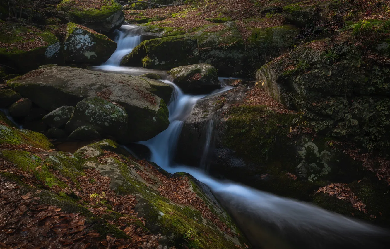 Photo wallpaper autumn, stones, rocks, foliage, waterfall, dry leaves