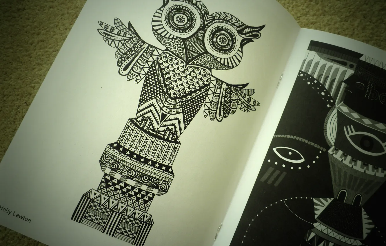 Photo wallpaper owl, figure, journal