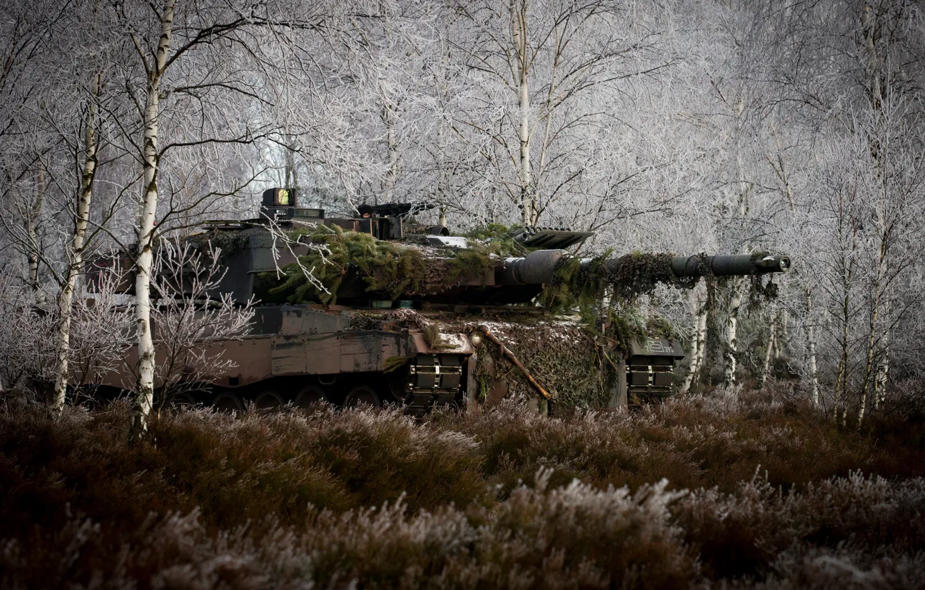 Photo wallpaper forest, grass, trees, tank, disguise, combat, Leopard 2A6M