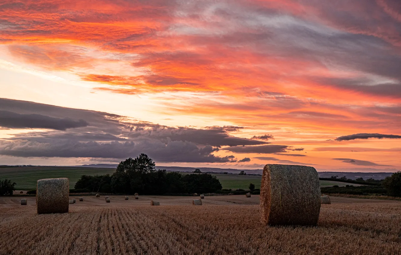Photo wallpaper field, summer, sunset, hay