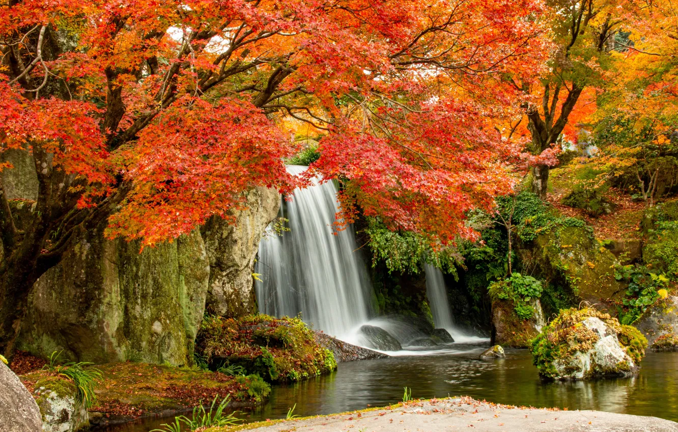 Photo wallpaper autumn, trees, landscape, nature, stones, waterfall