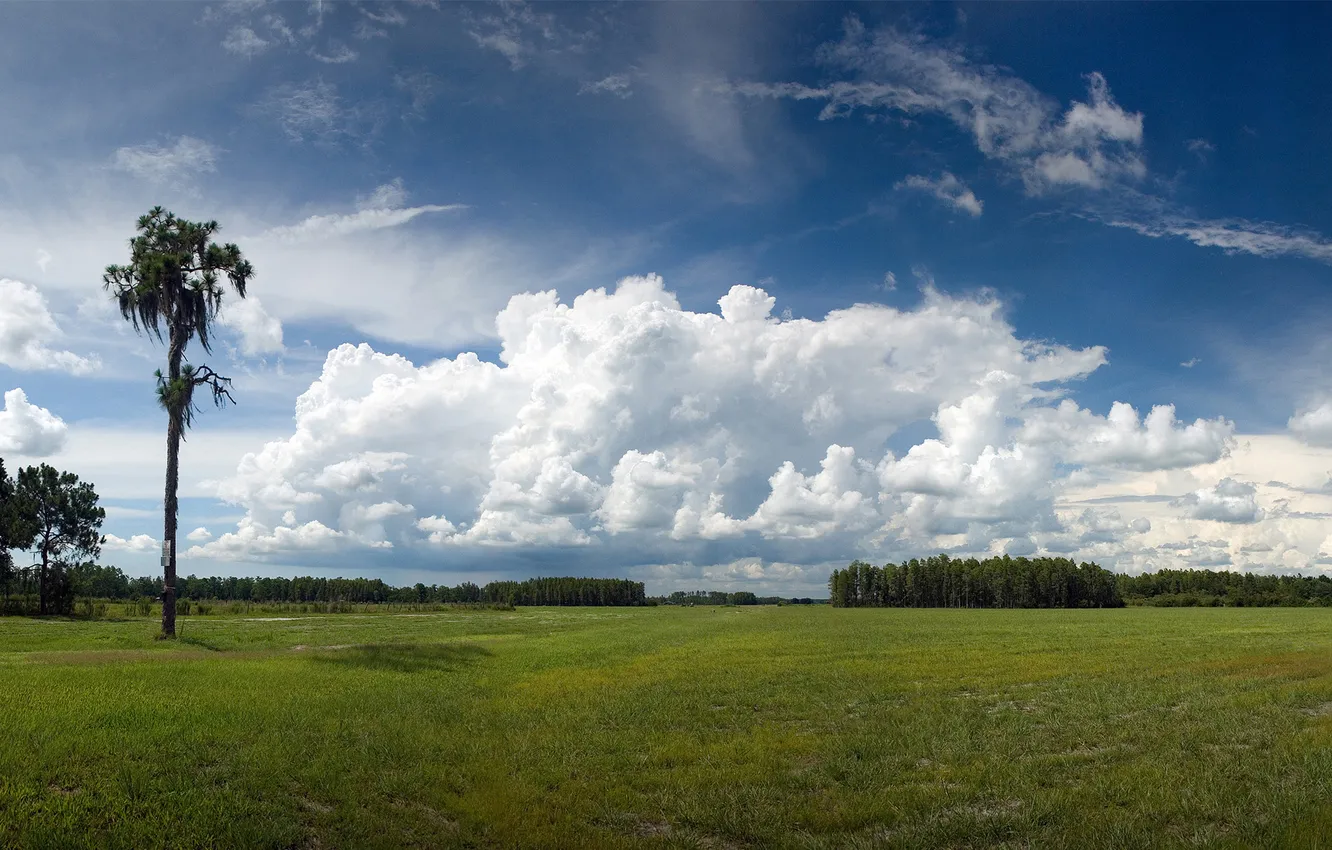 Photo wallpaper the sky, trees, blue, Nature, national, geographic, green meadow