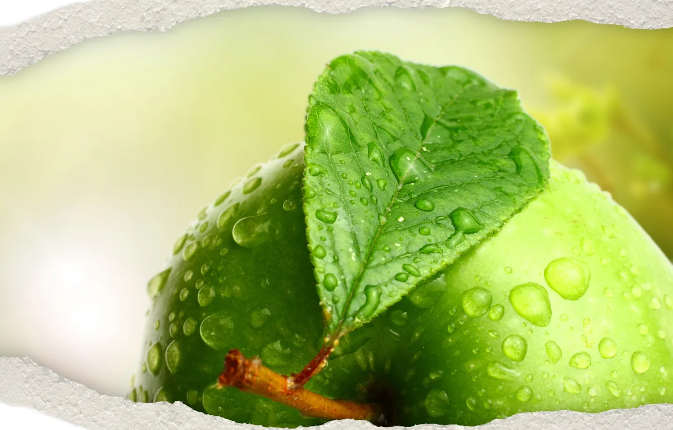 Photo wallpaper apples, edge, leaf, cardboard