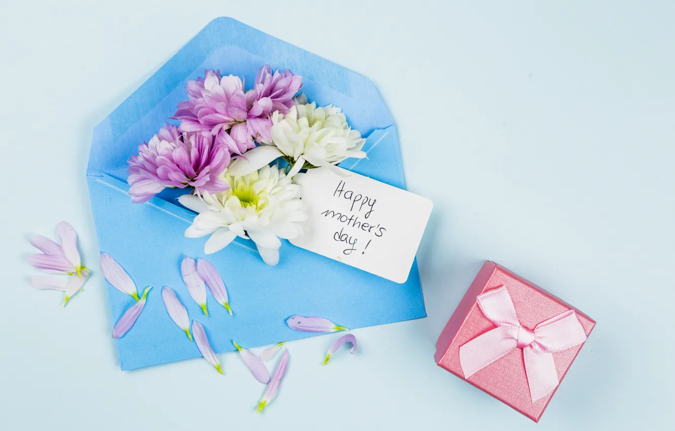 Photo wallpaper flowers, background, holiday, gift, blue, the envelope, composition, Mother's Day