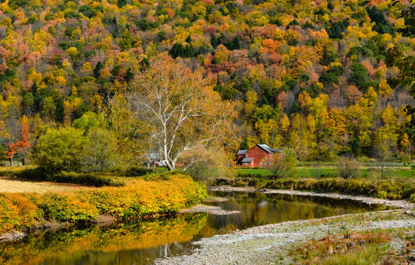 Photo wallpaper autumn, forest, mountains, house, river