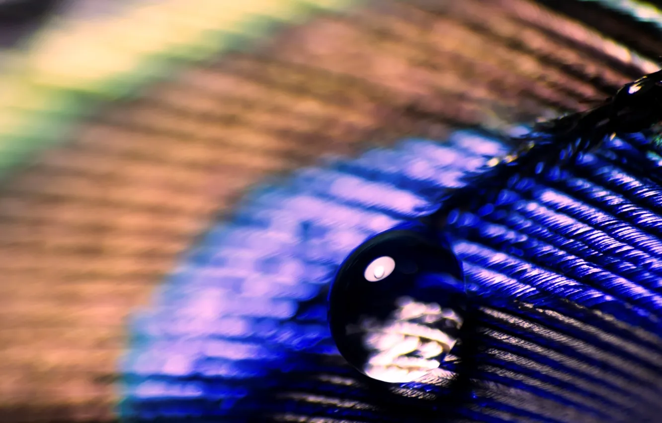 Photo wallpaper water, drops, macro, Rosa, background, Wallpaper, colored, blur