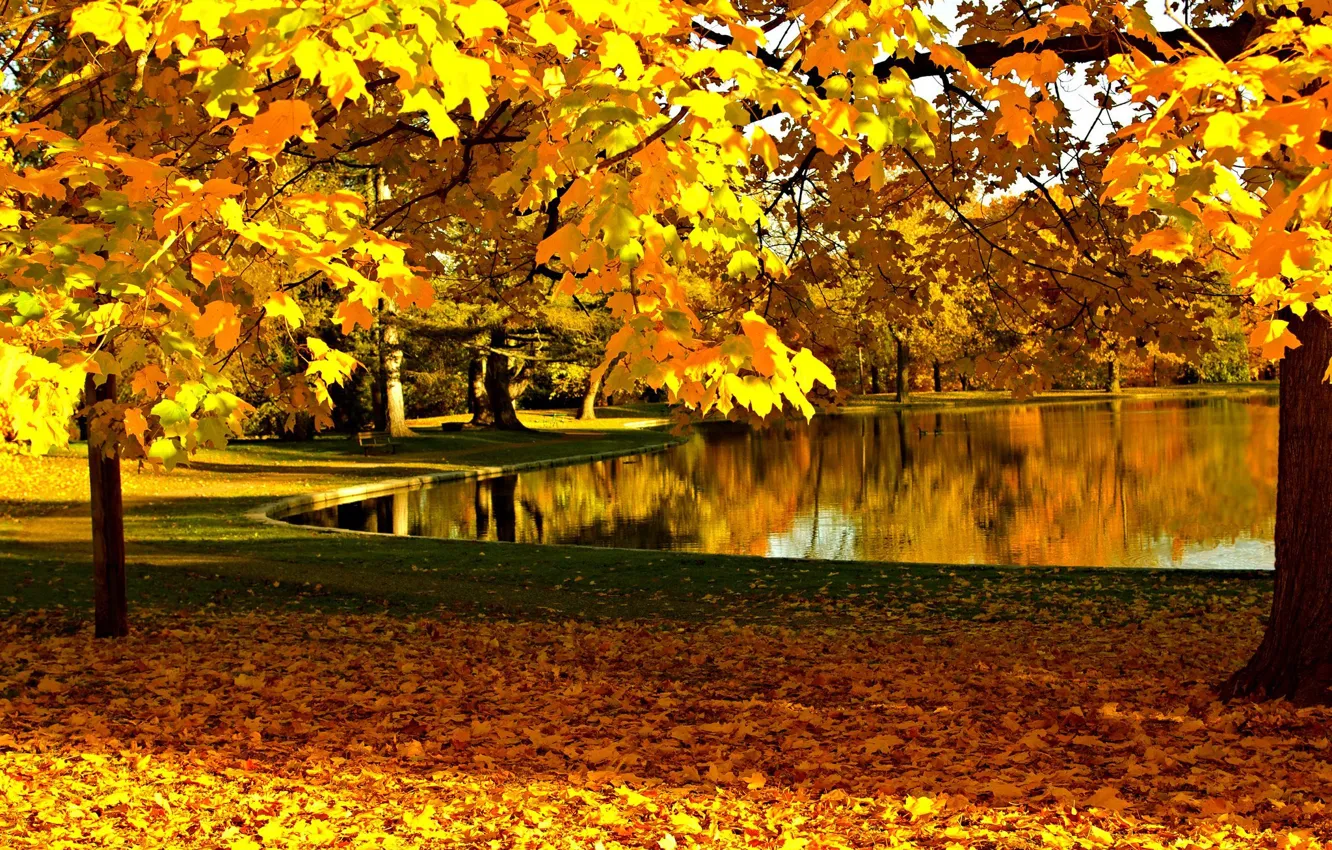 Photo wallpaper autumn, forest, the sky, leaves, water, trees, mountains, nature