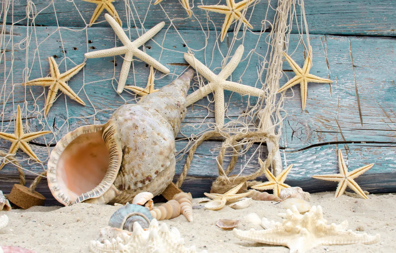 Photo wallpaper sand, beach, stars, shell, beach, wood, sand, marine