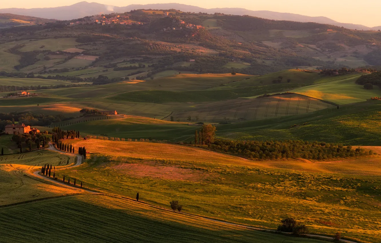 Photo wallpaper field, summer, trees, sunset, mountains, nature, fog, comfort