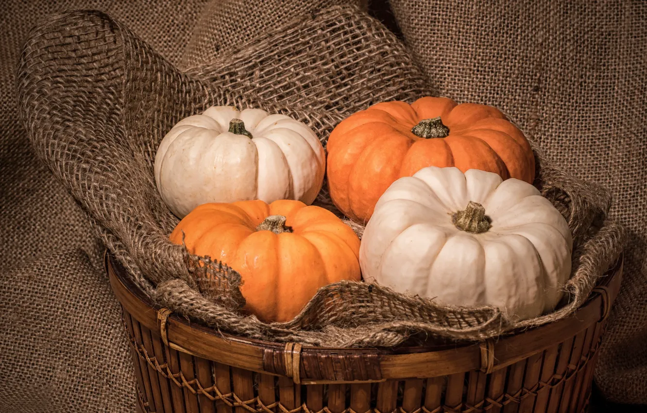 Photo wallpaper pumpkin, burlap, basket