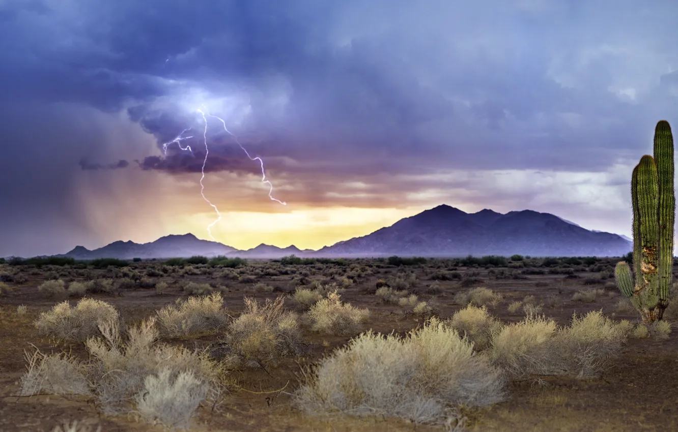 Photo wallpaper lightning, Arizona, sandstorm, Monsoon Sunset