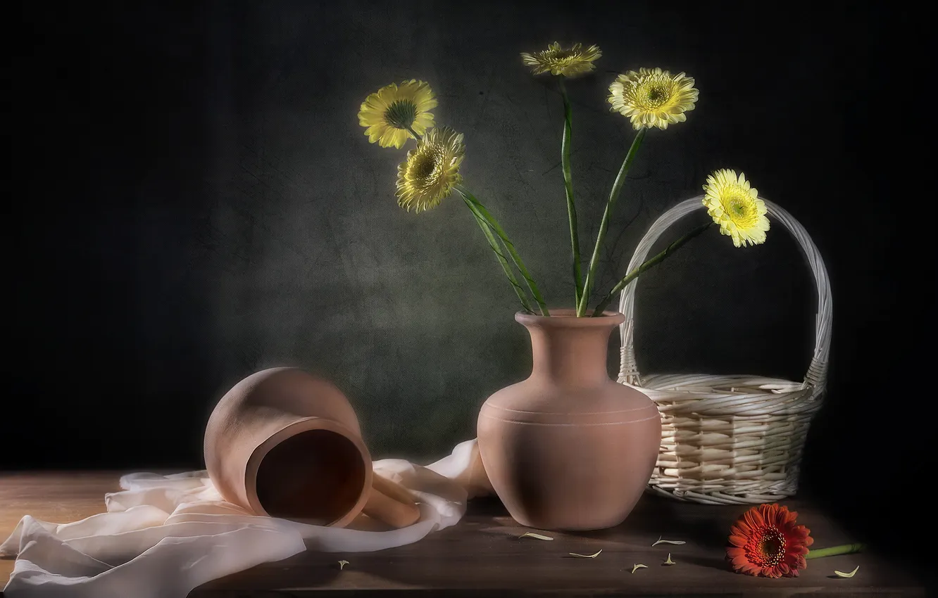 Photo wallpaper flowers, background, still life