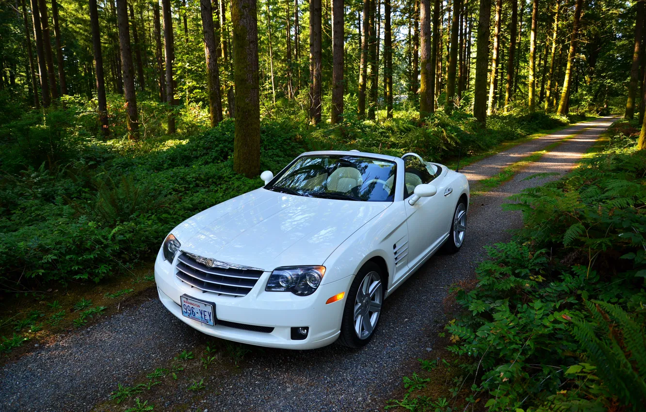 Photo wallpaper road, forest, white, convertible, trees., chtysler, Crossfire SRT6