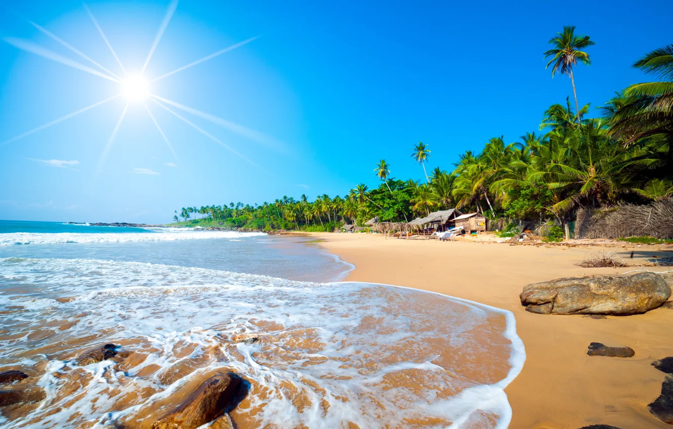 Photo wallpaper beach, Islands, palm trees, the ocean, Caribbean, Caribbean