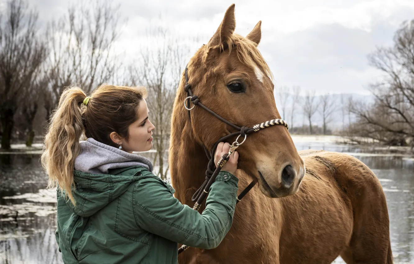 Photo wallpaper autumn, girl, horse, horse, jacket, communication