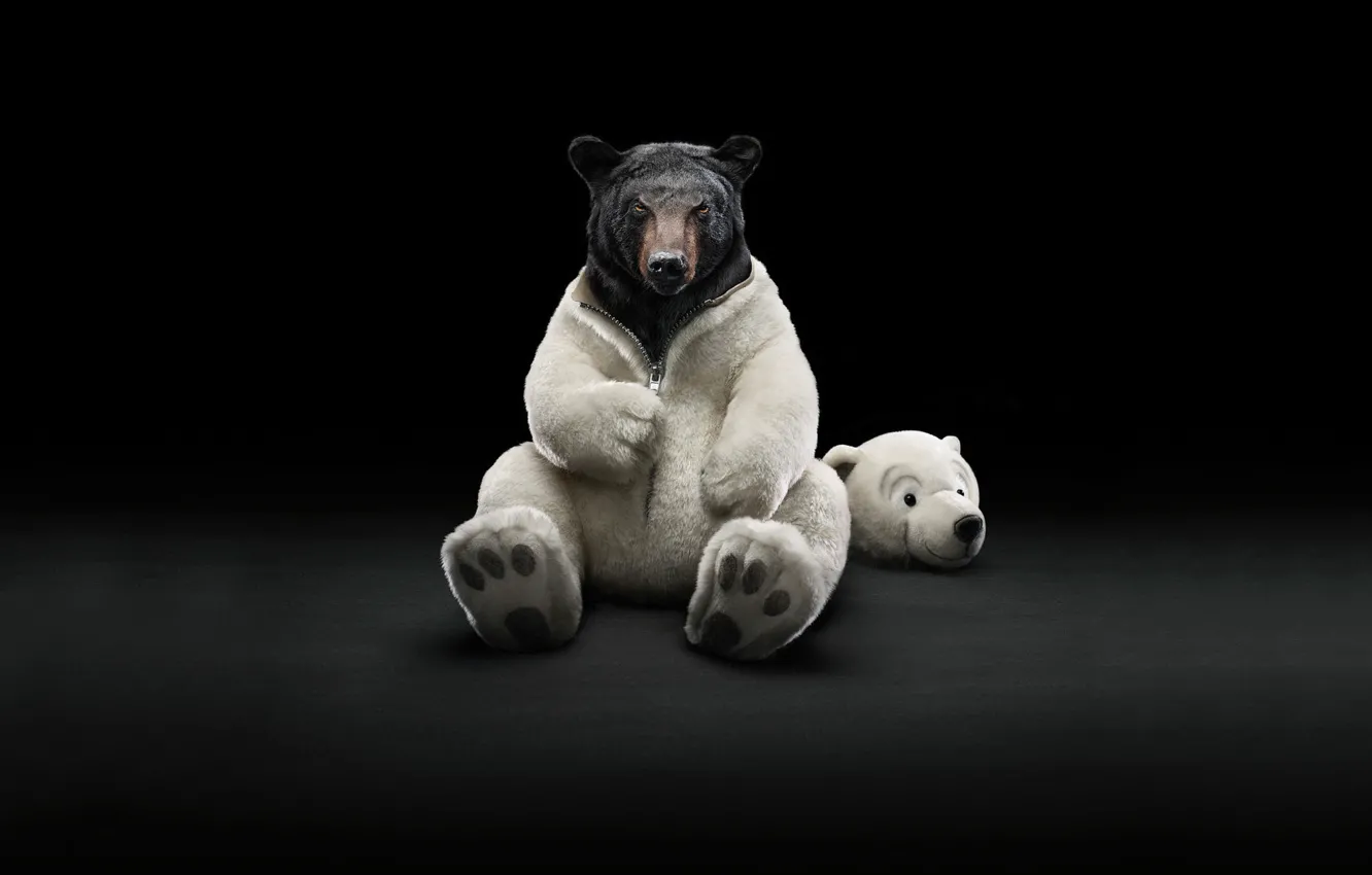 Photo wallpaper bear, costume, coat