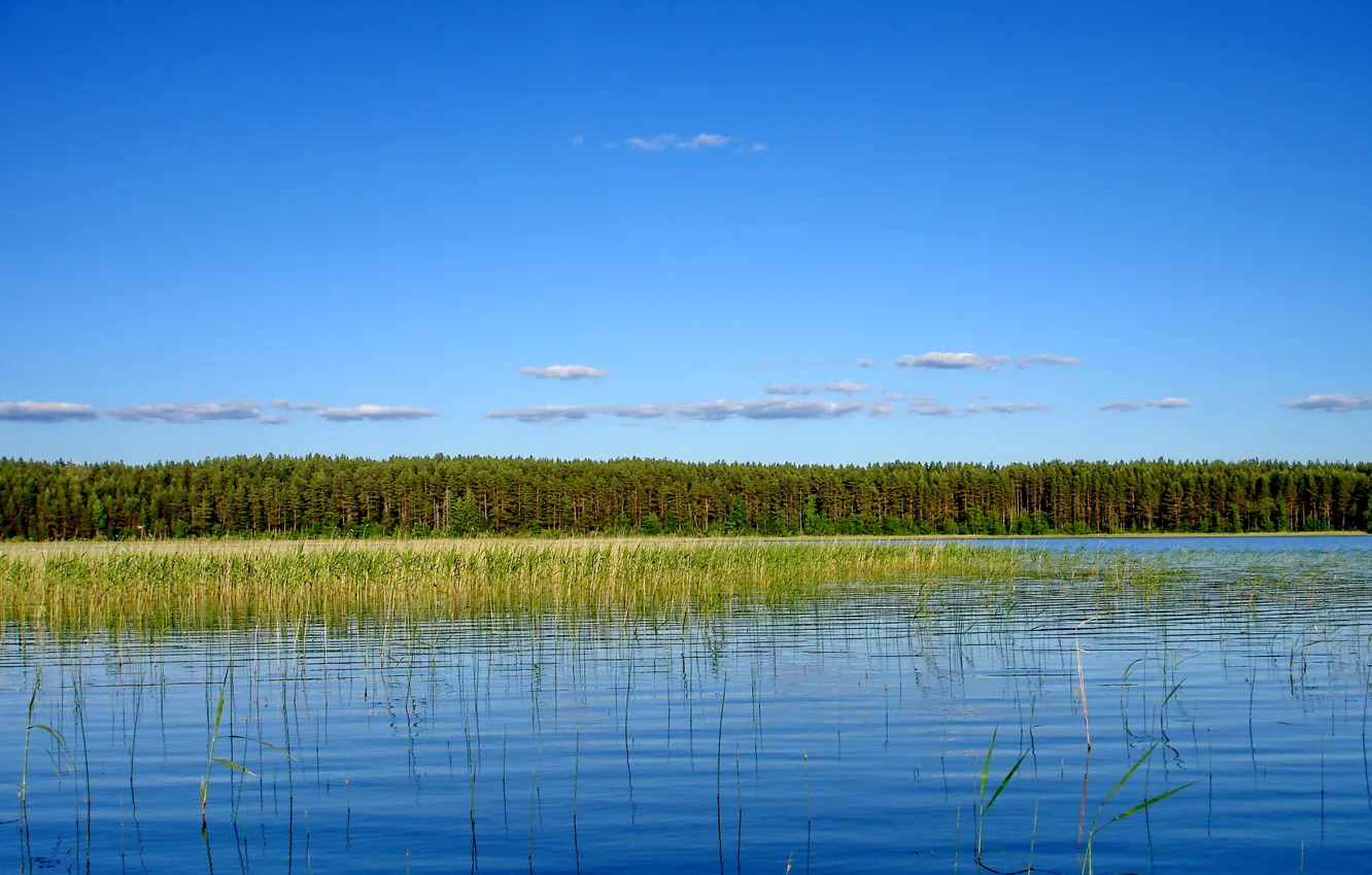 Photo wallpaper water, landscape, nature, lake, Seliger
