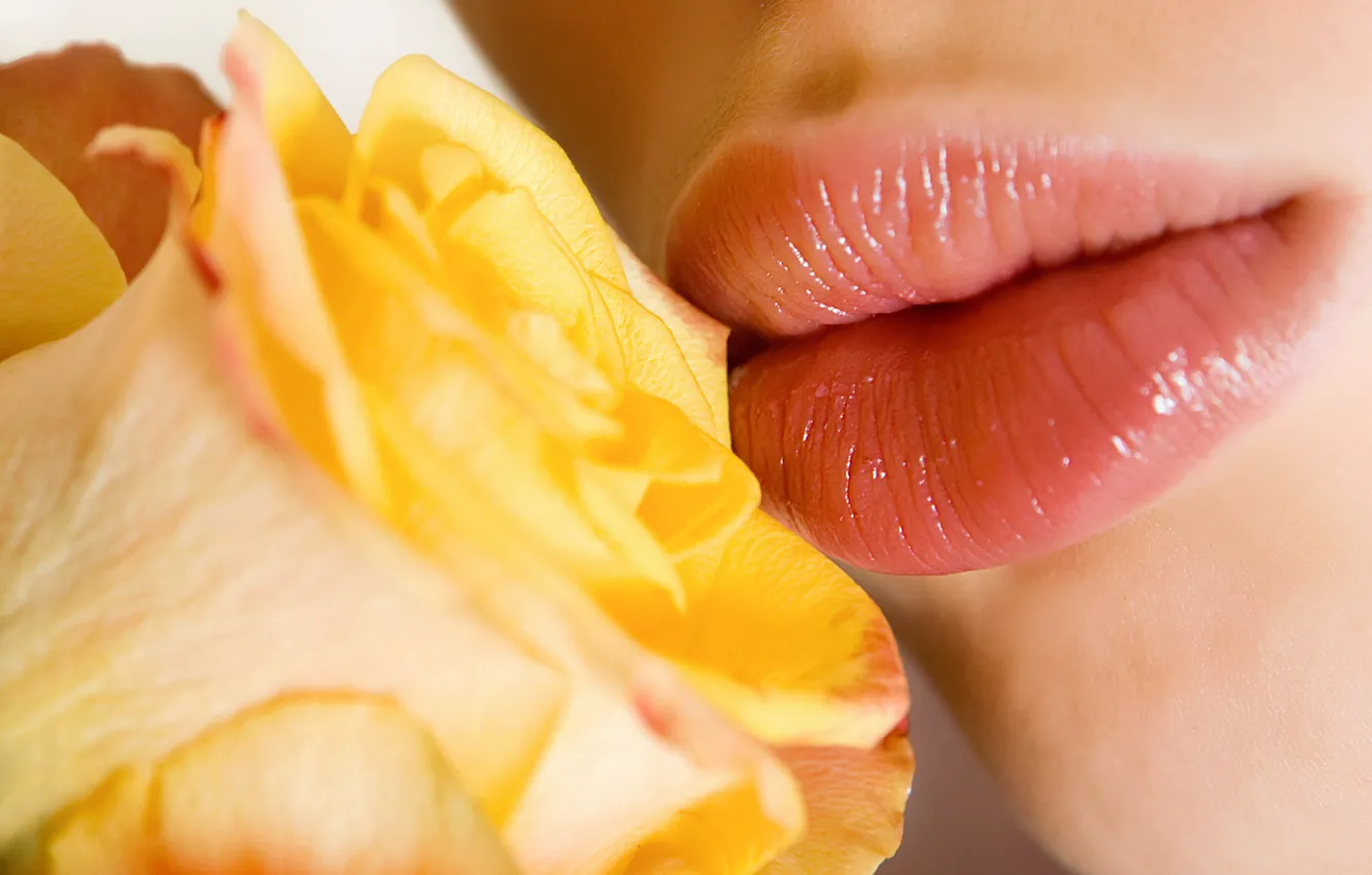 Photo wallpaper roses, petals, lips