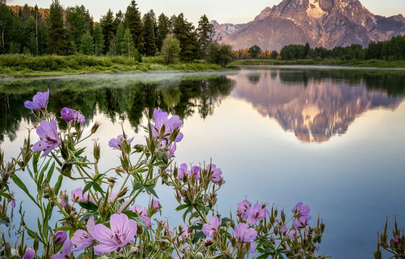 Photo wallpaper forest, landscape, flowers, mountains, nature, lake, Wyoming, USA