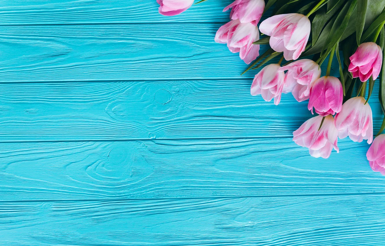 Photo wallpaper flowers, background, tulips