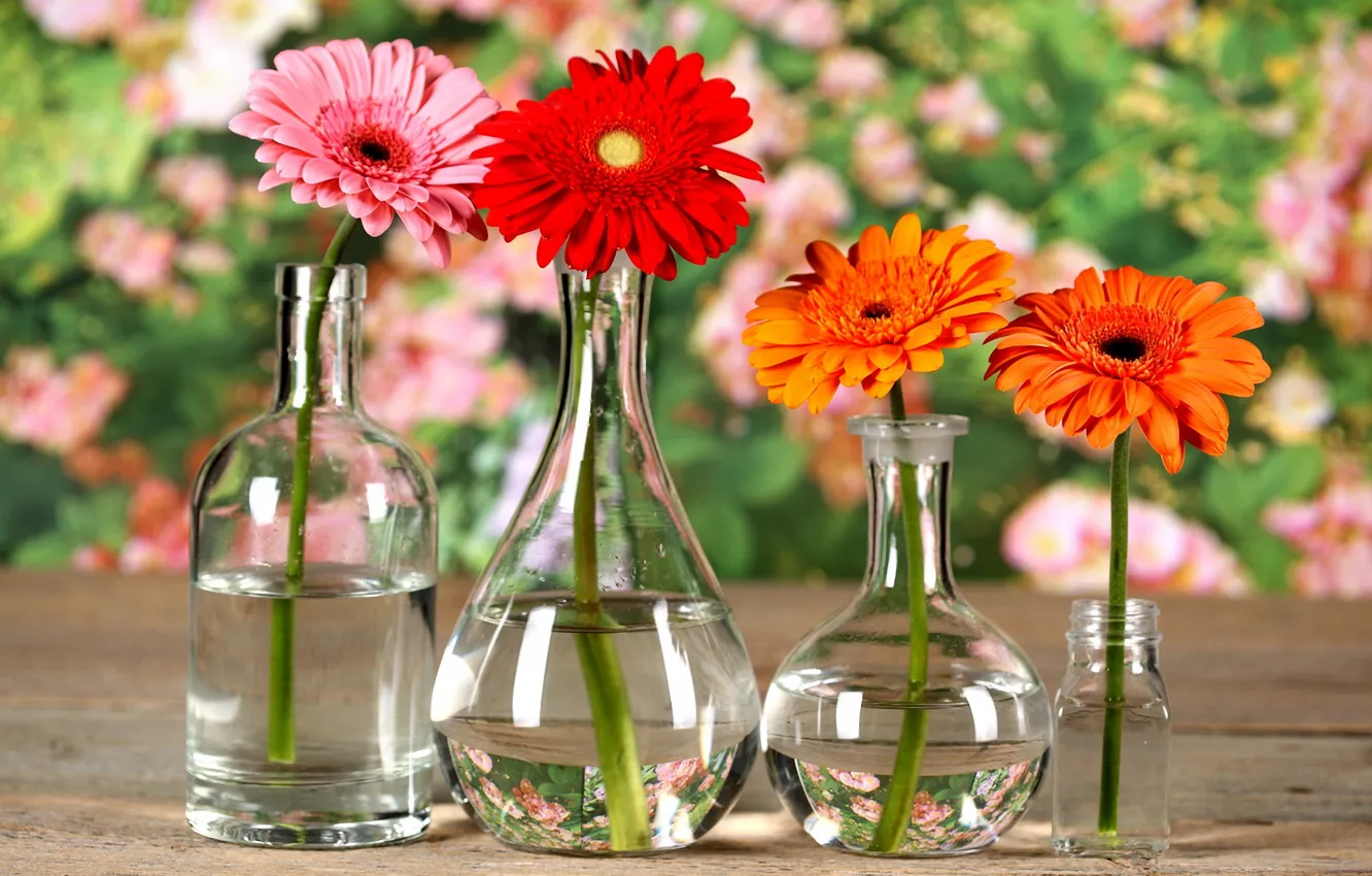 Photo wallpaper reflection, flowers, table, bottle, bokeh, chrysanthemum, vases