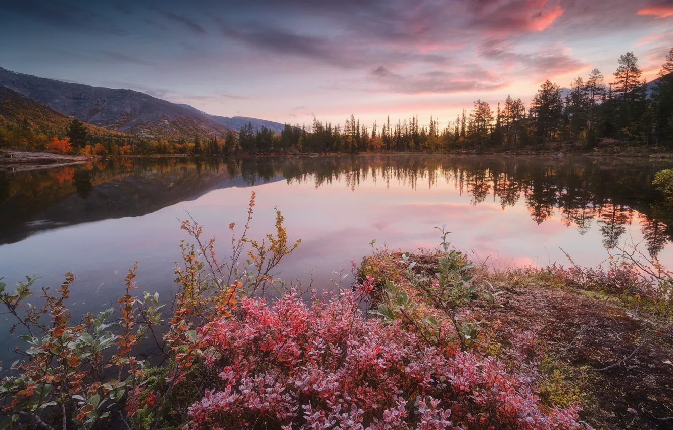 Photo wallpaper autumn, landscape, mountains, nature, lake, morning, tundra, The Kola Peninsula