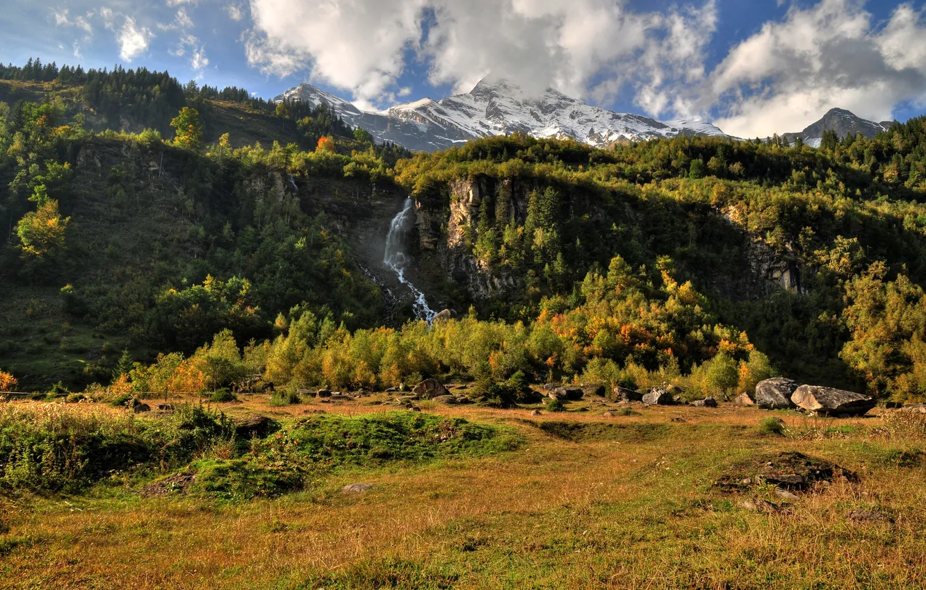 Photo wallpaper forest, grass, snow, trees, mountains, stones, waterfall