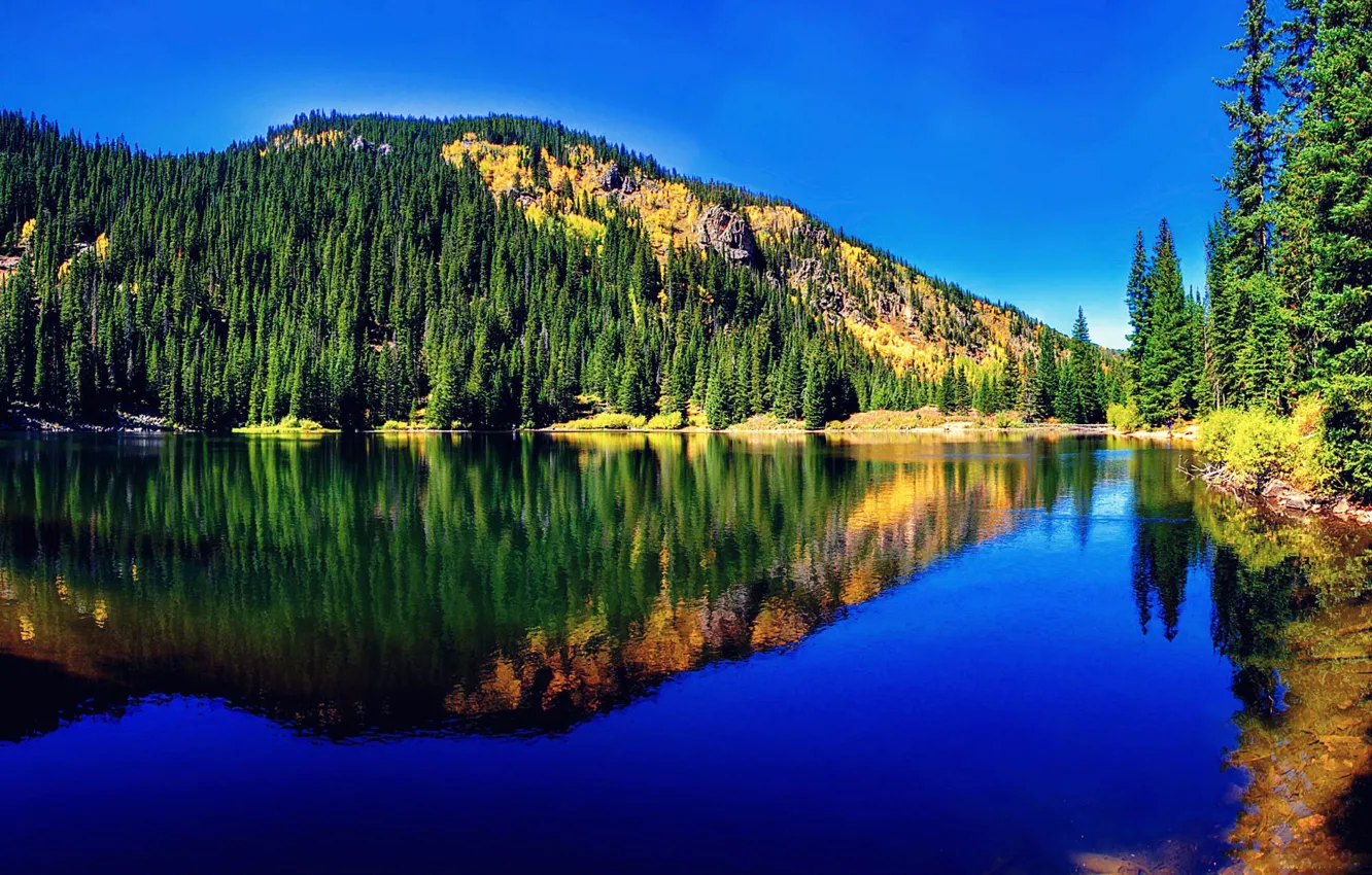 Photo wallpaper forest, nature, mountain lake