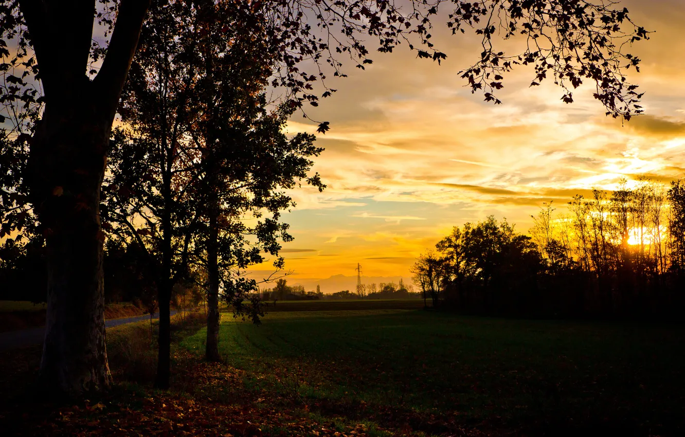 Photo wallpaper field, autumn, trees, sunset, the evening